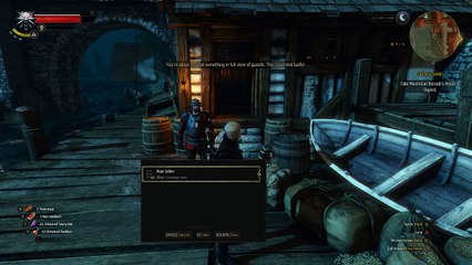 Witcher 3 (bug underwater test 2015)