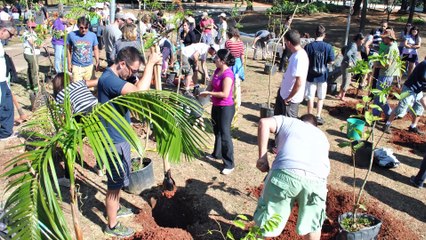Boas práticas no combate ao desmatamento - Diálogos Transformadores