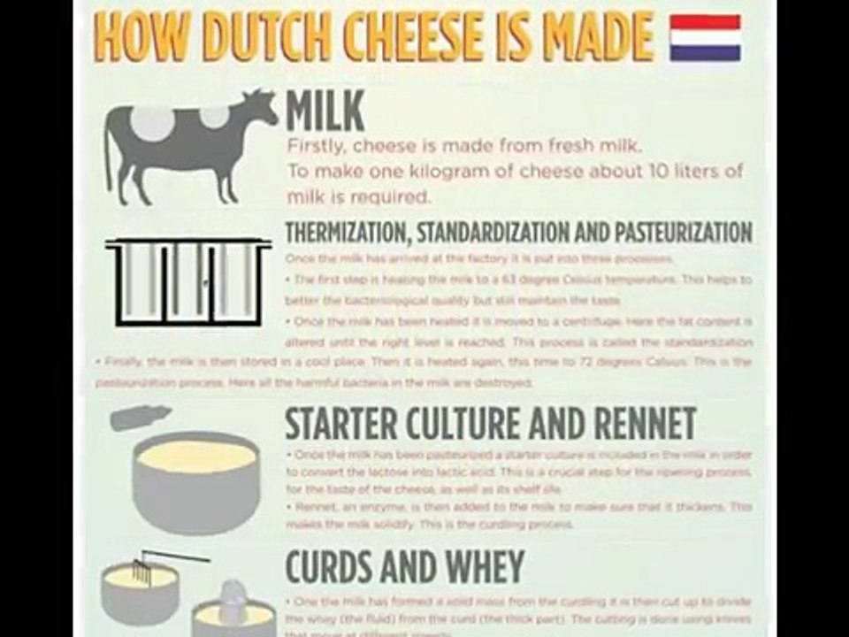 Infographic -- infographicfacts.com