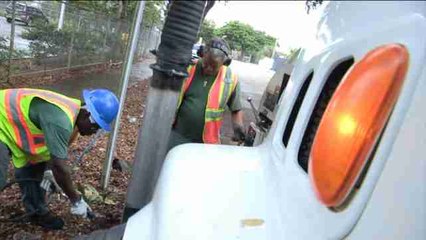 El Congreso de EEUU aprueba 1.100 millones de dólares para luchar contra el zika