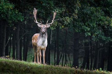 강북건마 밤의전쟁 BamWar10*net 역삼 오피