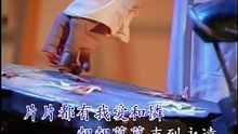 楓叶情  (Daniel Han 韩晨光)