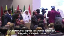 OPEC agrees shock oil output cut