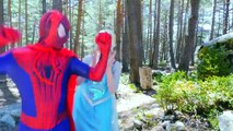 SPIDERMAN HURTS VS SUPERMAN & FROZEN ELSA !! Spiderman vs Iron