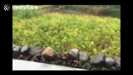 Major landslide destroys 20 houses in southern China