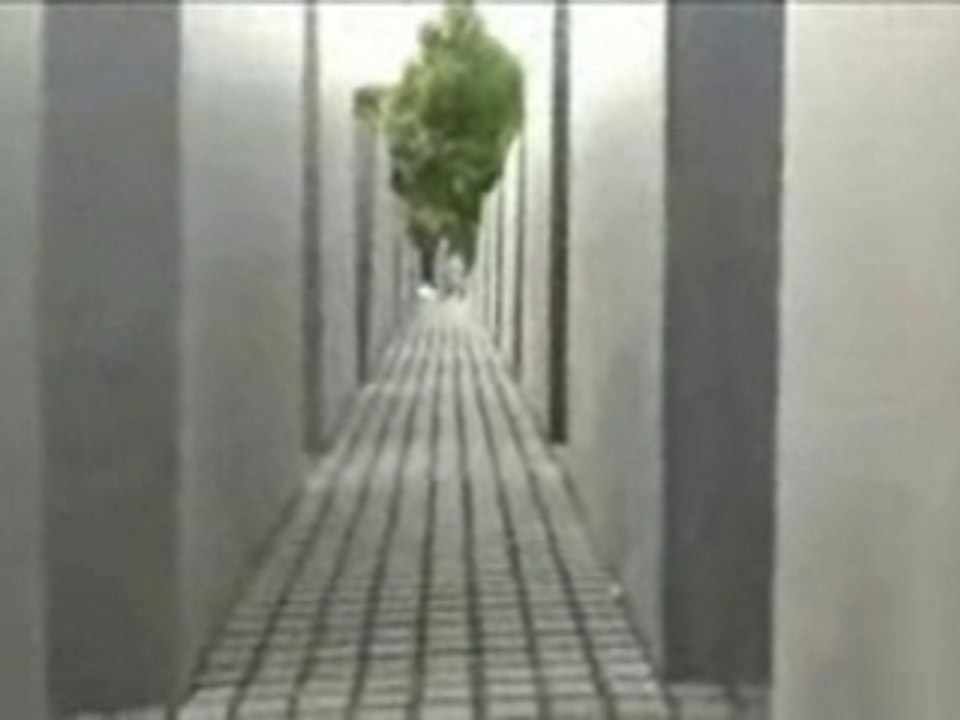 Berlin06 holocaust denkmal