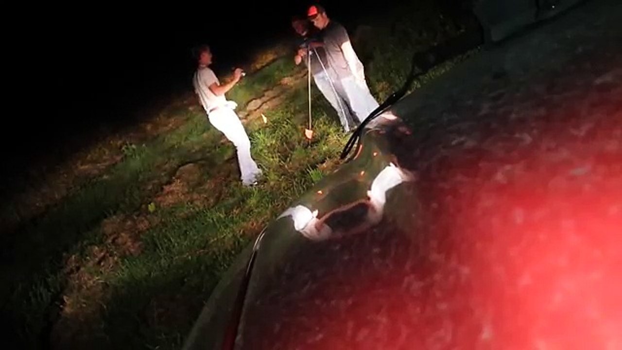 Buck released to wild from sinkhole