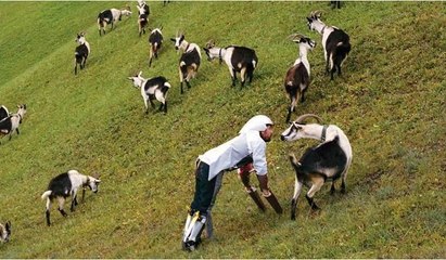 Sundukları haber gülme krizine soktu