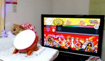 Énorme performance sur Taiko No Tatsujin à la Wii U