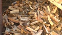 Report TV - Moratoriumi i pyjeve, kuksianët rrezikojnë të mbeten pa dru në dimër