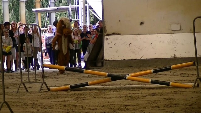 Mascotte du Centre restaurant Le Comte Hem