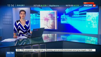 Неизвестный облил краской фотографии с войны на Украине