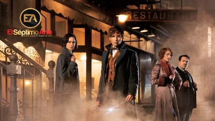 Fantastic Beasts and Where to Find Them (Animales fantásticos y dónde encontrarlos) - Tráiler final V.O.S.E. (HD)