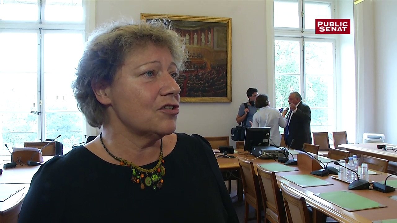 Rapport sur les téléphones portables : « Des chiffres sidérants » pour Marie-Christine Blandin