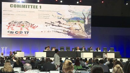 CITES proíbe comércio de pangolins