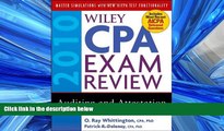 Enjoyed Read Wiley CPA Exam Review 2010, Auditing and Attestation (Wiley CPA Examination Review: