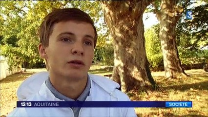 abeilles lycée de Nérac