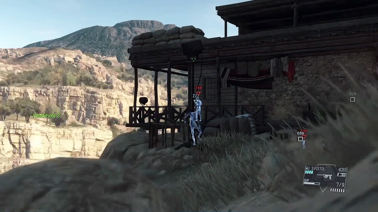D HORSE helping