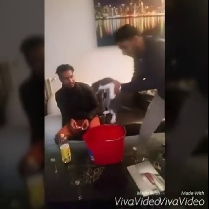 R.I.P ils ont BRULE LE CHAT !!!!