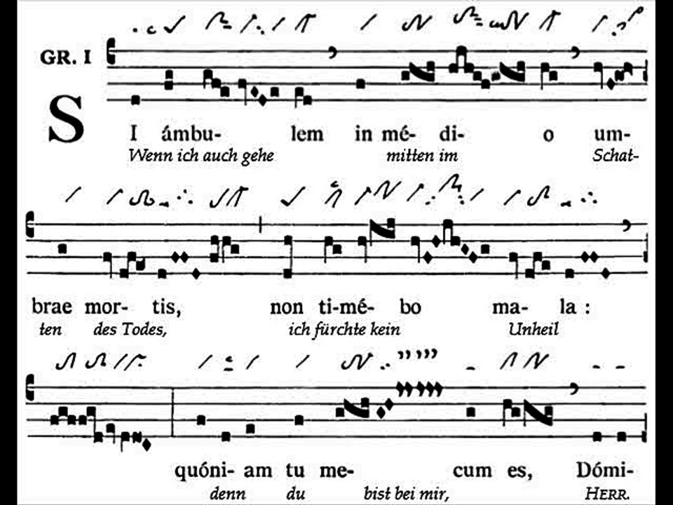 Graduale Si ambulem,  Dominica XXVIII TpA (28 TO)
