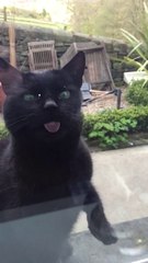 Attend je vais te nettoyer ta vitre! ahahah