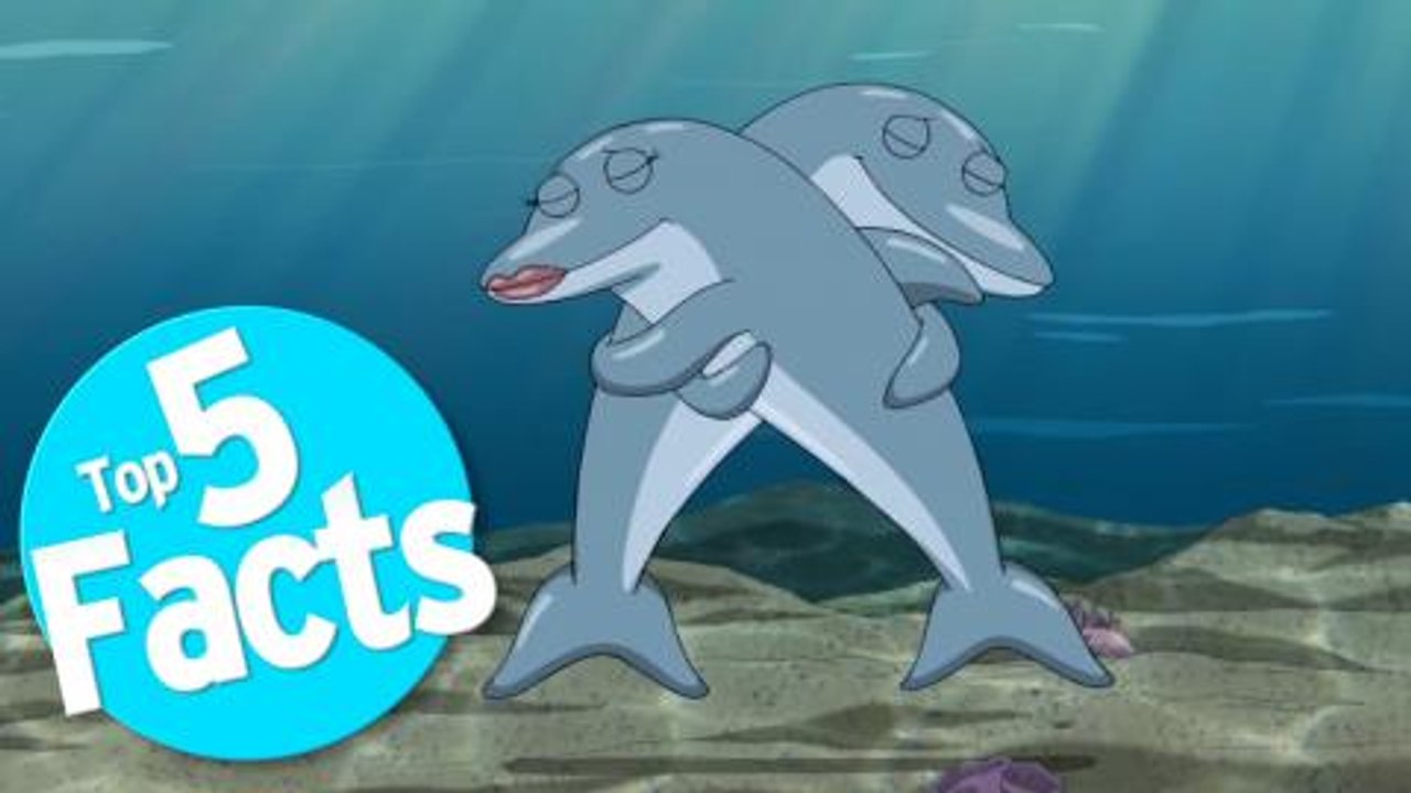 Top 5 Freaky Facts About Dolphin Sex - video Dailymotion