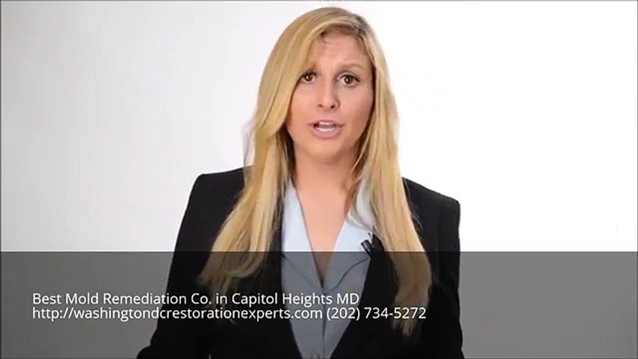 Mold Remediation Capitol Heights MD