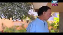 Haal-e-Dil Episode 17 on Ary Zindagi 29th September 2016