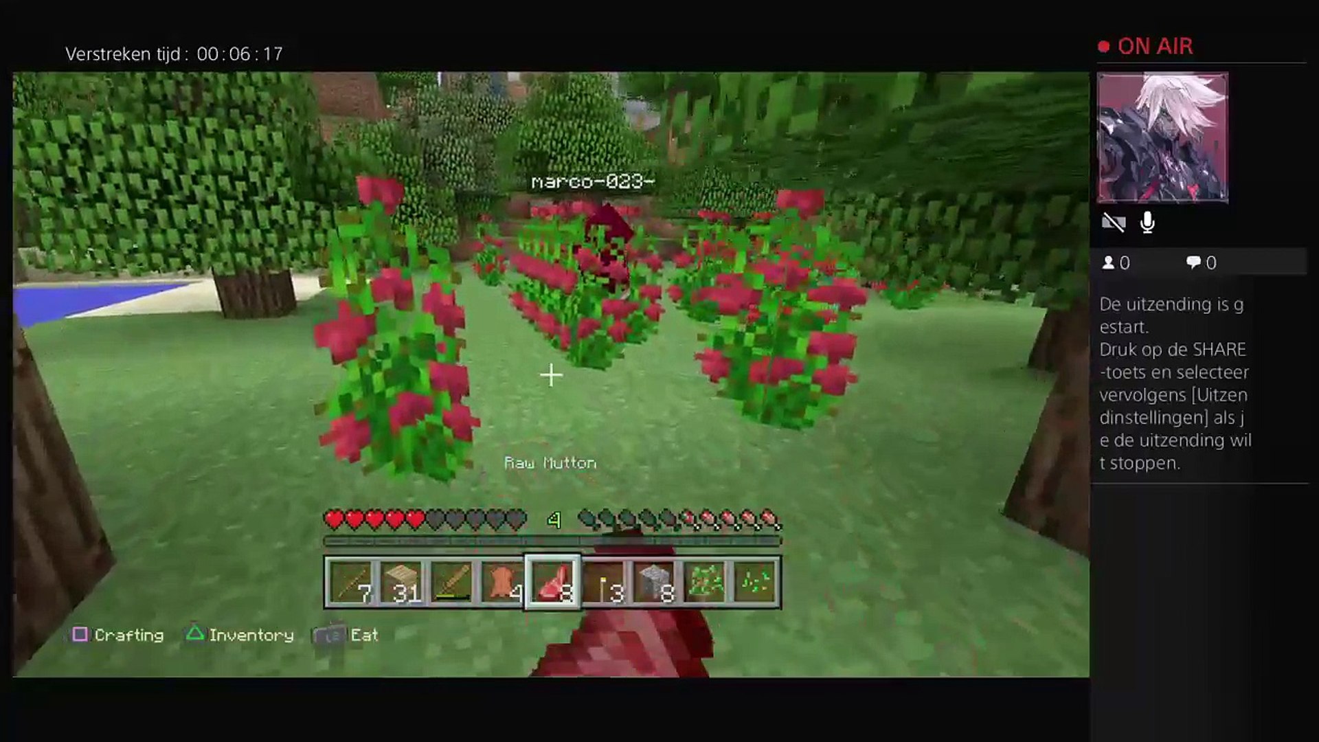 Minecraft Survival  Livestream (6)