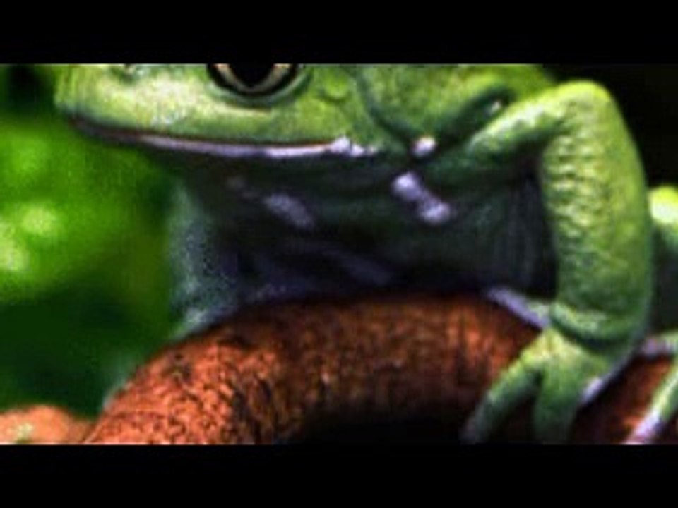 DAAVID - KECSKEBÉKA