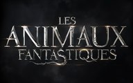 Les Animaux Fantastiques Bande annonce 2 VOST