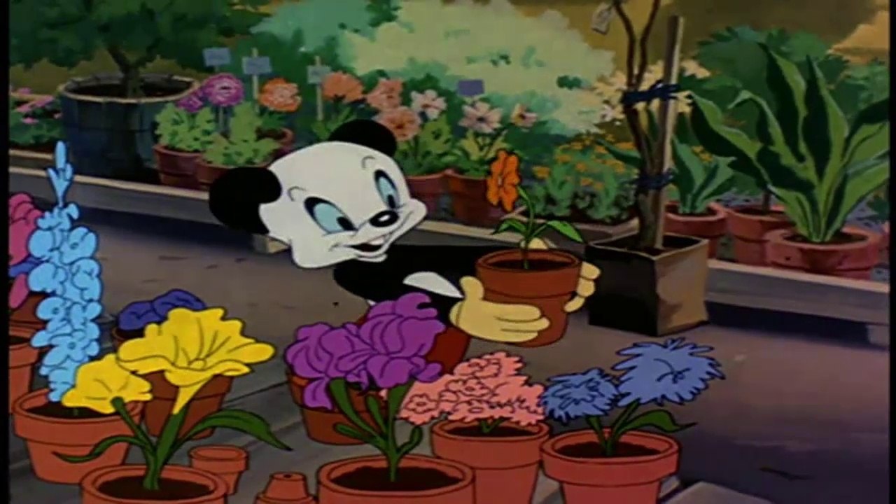 andy panda o praga de praga