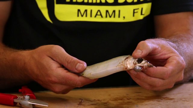 How To: O-Ring Ballyhoo Rig for Circle Hooks and Fishing for Billfish