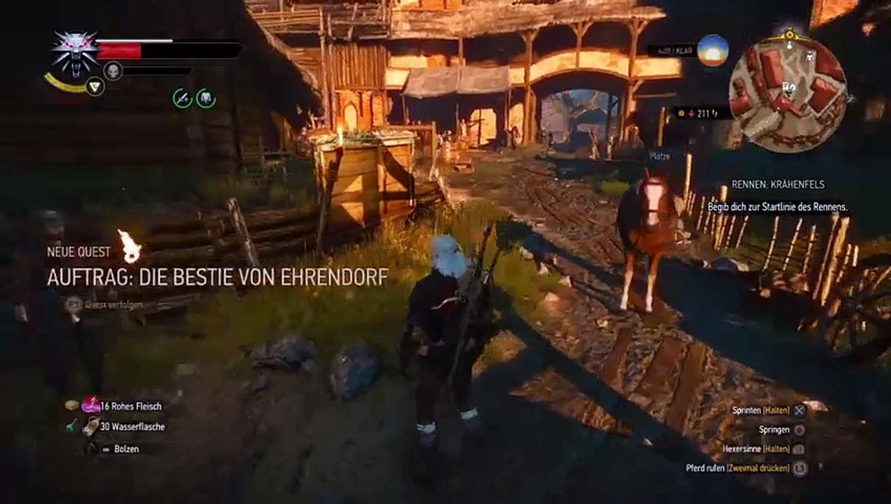 Witcher noob teil 3 (5)