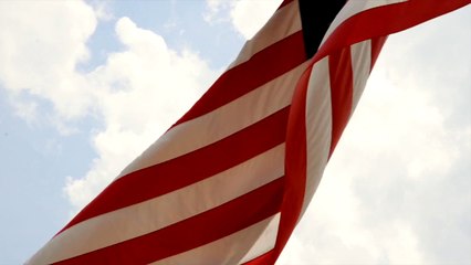 Flag of the United States