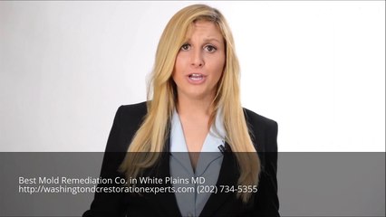 Mold Remediation White Plains MD