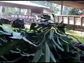 Abu Sayyaf vs. Philippine soldiers short version