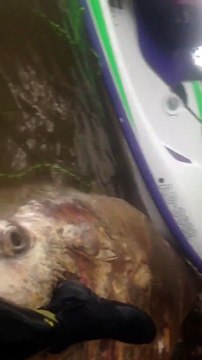 Incroyable découverte par 2 amis