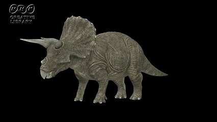 小口祥太郎の恐竜チャンネル