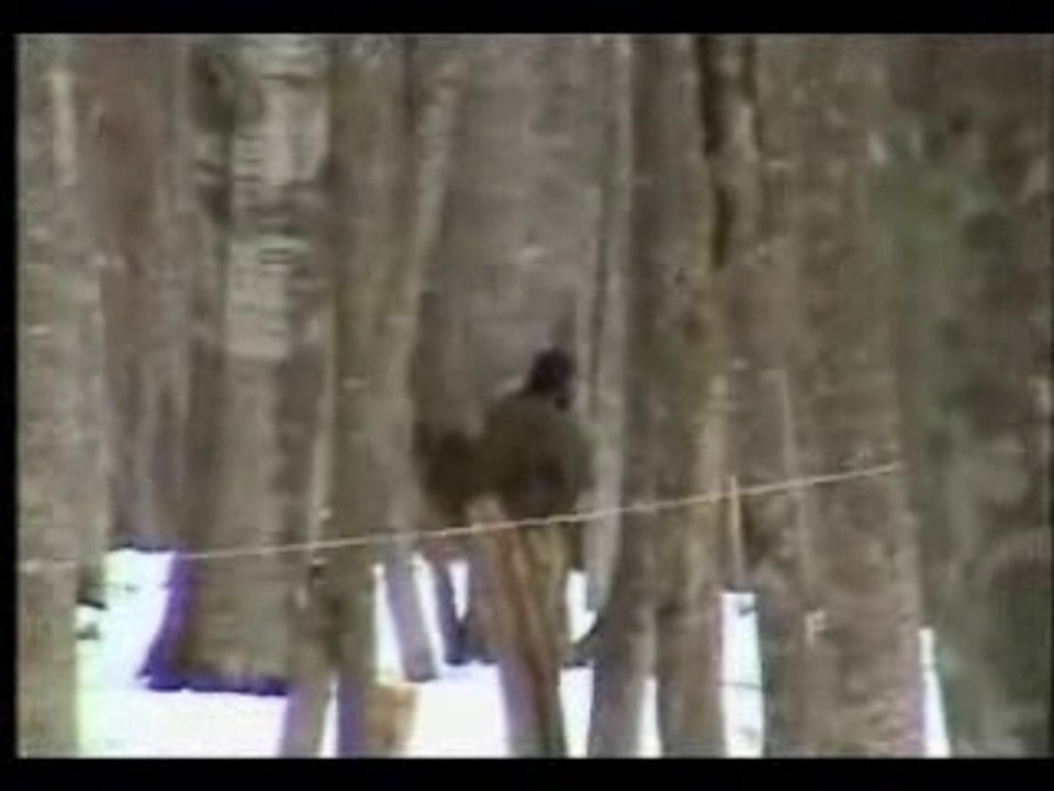 Tchechenien III Mujahideen Islam Allah Iman