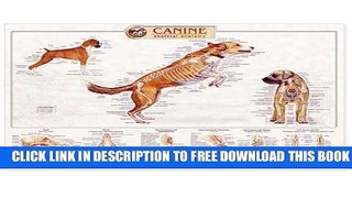 New Book Canine Skeletal System Anatomical Chart