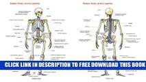 Collection Book Skeleton: Bones, Joints And Ligaments Chart