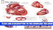 New Book The Heart chart: Laminated Wall Chart