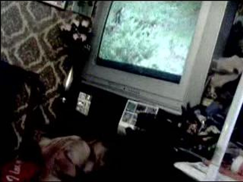 jack regarde la tv